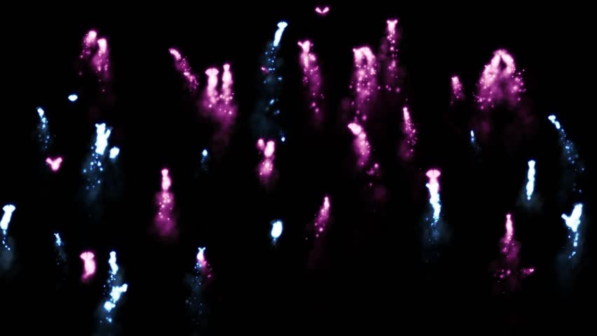 Fairy Sparkles / Black Background