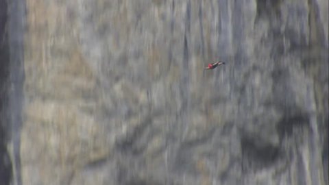 Base jumper wearing a wingsuit flies across the screen after jumping from a cliff in Switzerland.