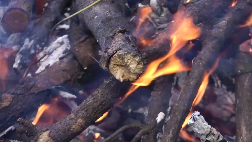 Burning Logs on a Camp Fire