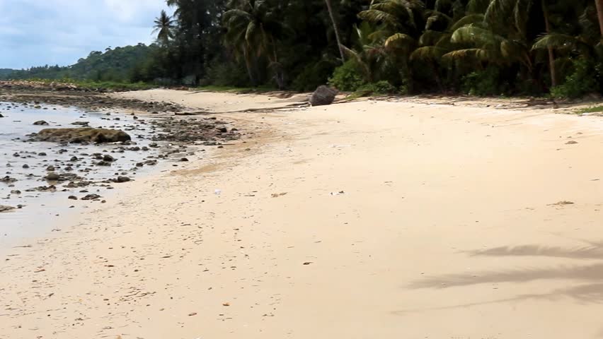 Hula Hawaii dancer on the beach. Vacation on a tropical island. Woman in costume Hawaii Hula dancing on the seashore, on a background of coconut palms.