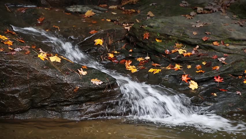 Seamless loop features a small stream of water cascading through a rock channel and splashing into a pool with vivid autumn foliage here and there. Shot at Ohio