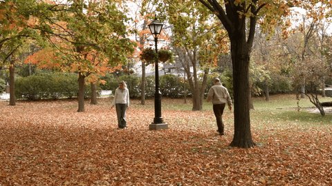 Mature Middle Aged Couple Walking In A Park With Fall Autumn Colors And Leaves. Shot Using A Blackmagic Pocket Cinema Camera