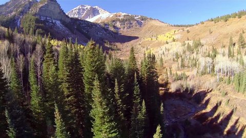 Aerial fly over trees in forest with mountains of Utah Arkivvideo