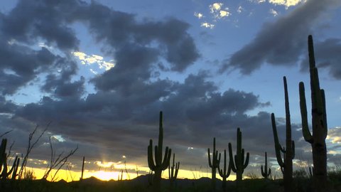 Time Lapse, Magnificent sunset sweeps across Arizona desert saguaro cactus landscape. 1080p