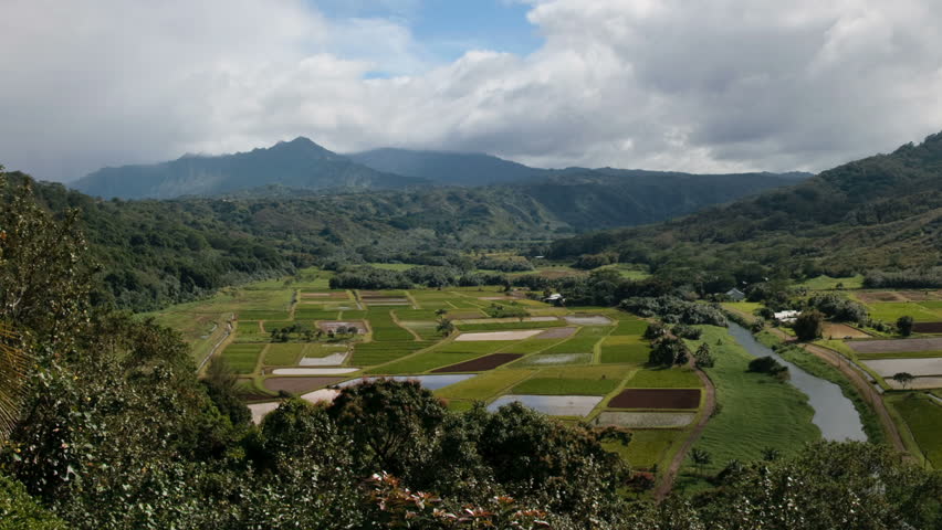 Pan across the verdant valley of Hanalei in Kauai in the Hawaii Islands