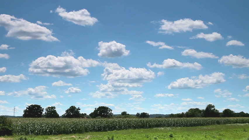Speed moving clouds on the blue sky over a corn field