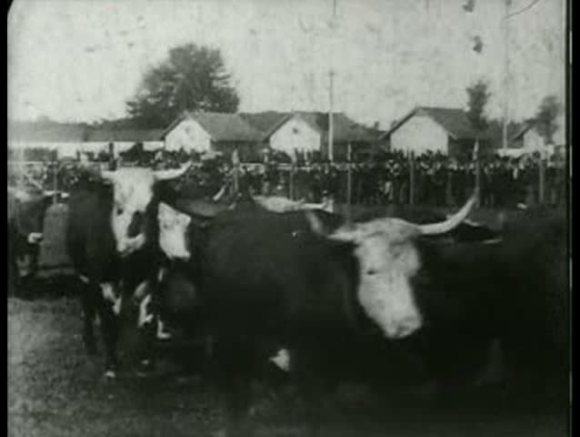 1900s - Events at a county fairground, 1903.