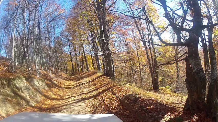 Driving slowly a Car on a forest internal dirt Road - POV - Point of view front