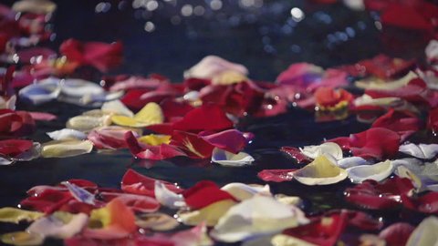 Woman naked underwater Stock Video Footage - 4K and HD Video Clips