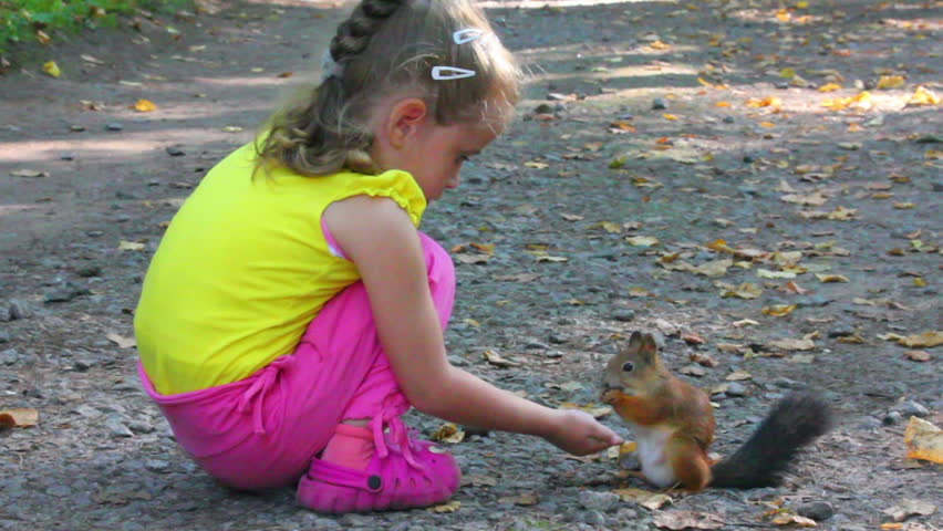 little girl feeding squirrel with nuts in park