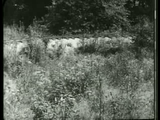 1900s - A comedic take on the Great Train Robbery featuring kids in 1905.