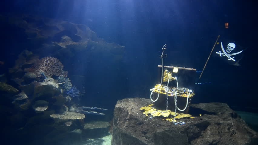 big aquarium simulations undersea (no fish background only)