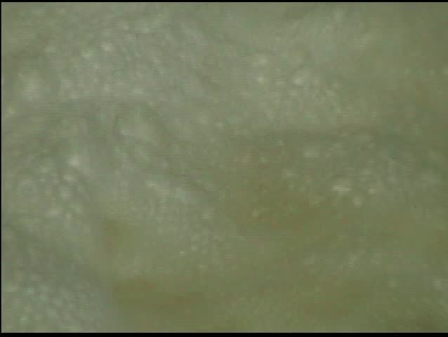 Water boiling at bottom of falls