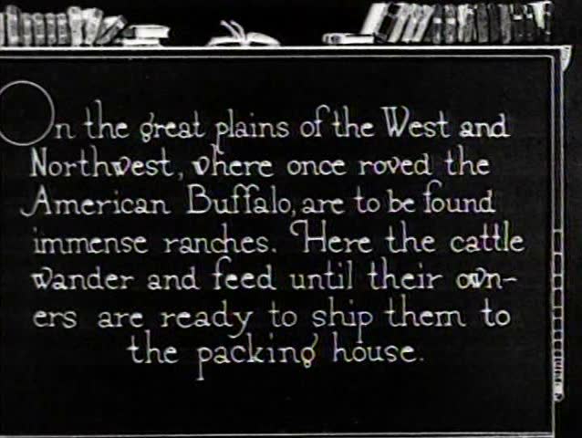 1920s - Cattle are herded on the great plains of America and Canada in 1921.