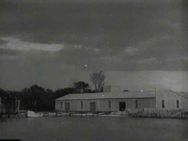 1910s - Fishermen in small boats hunt for sharks and manta rays in 1919.