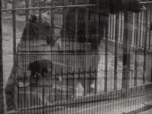 1920s - Images of animals in a zoo in 1921.