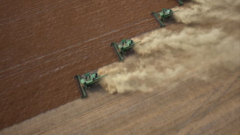 Four combines harvesting lentil field on the Saskatchewan Prairie aerial view