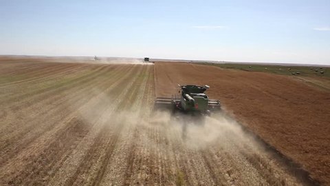Five combines harvest large canola field on Saskatchewan prairie