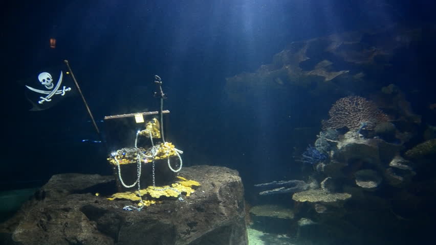 big aquarium simulations undersea and shark swimming in side