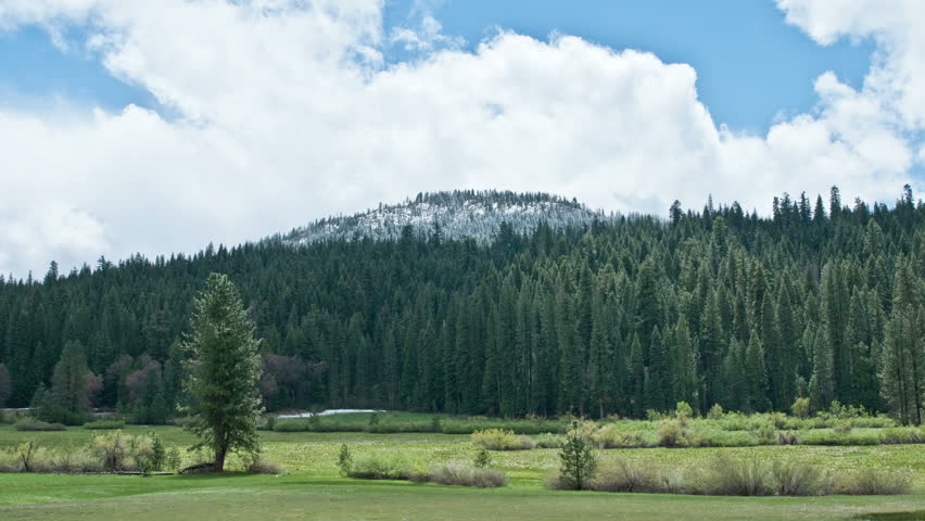 Time Lapse of Field in Yosemite National Park 4k