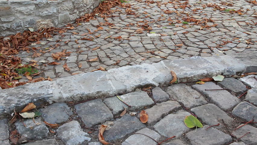 Stone steps in city alley covered by dead fallen leaves
