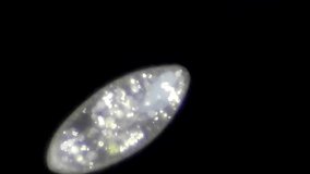Full HD. Original video of infusoria under microscope (darkfield microscopy)