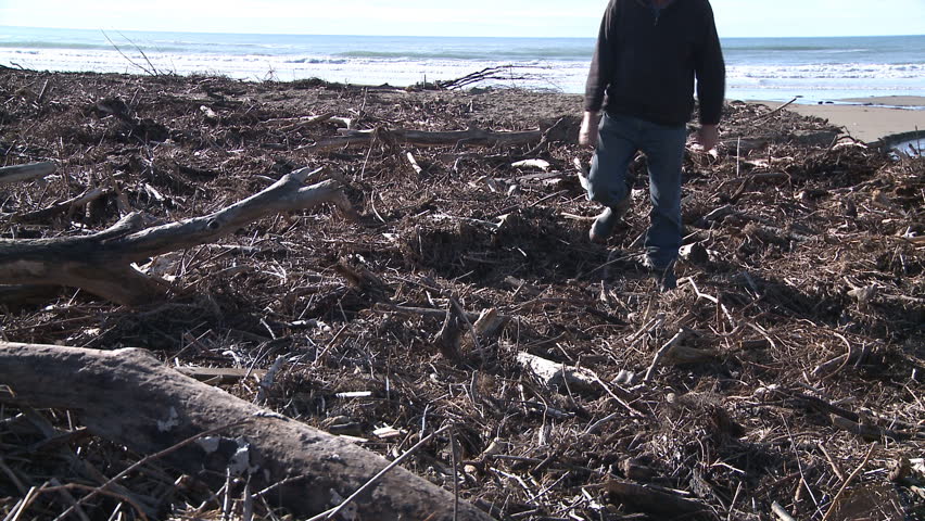 A man walks along a once sandy beach now littered with washed up driftwood from