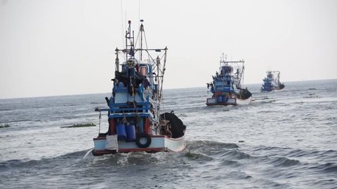 Many fishing boats sailed from the coast to the Gulf of Thailand to catch fish into the fishing business