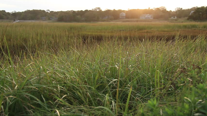 Cape Cod Marsh Late Afternoon. A marsh area on Cape Cod, Massachusetts during late afternoon in Autumn.