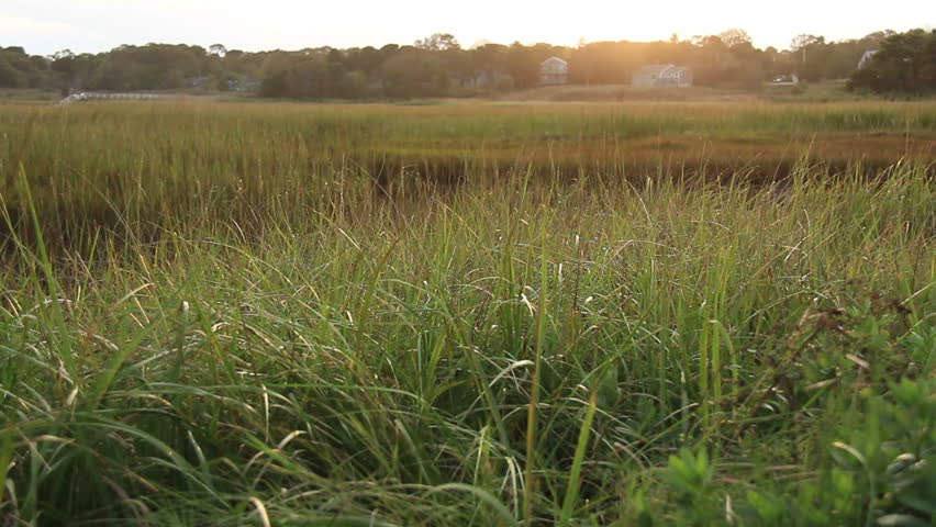 Cape Cod Marsh Late Afternoon. A marsh area on Cape Cod, Massachusetts during