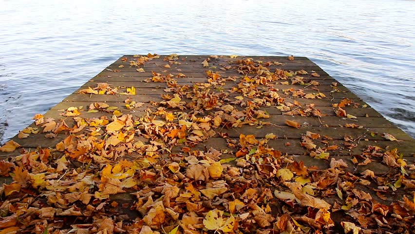 Wooden pier on the pond and autumn leaves