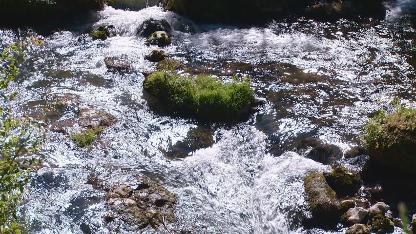 Water in a forest stream meanders over rocks as it heads downstream. 