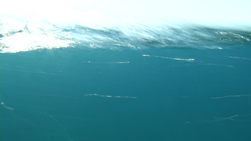 Sea water surface with blue sky splitted by waterline to underwater part with