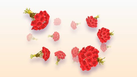 Rose Bouquet  Stock Video