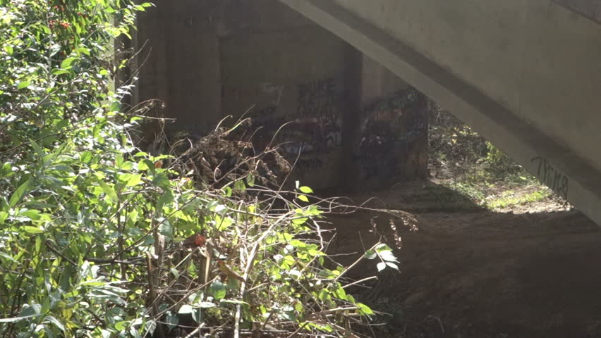 Graffiti under bridge