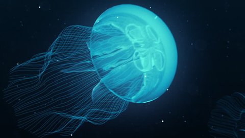 Jellyfish Nightlights - Preview is darker than actual - Check portfolio for variations.