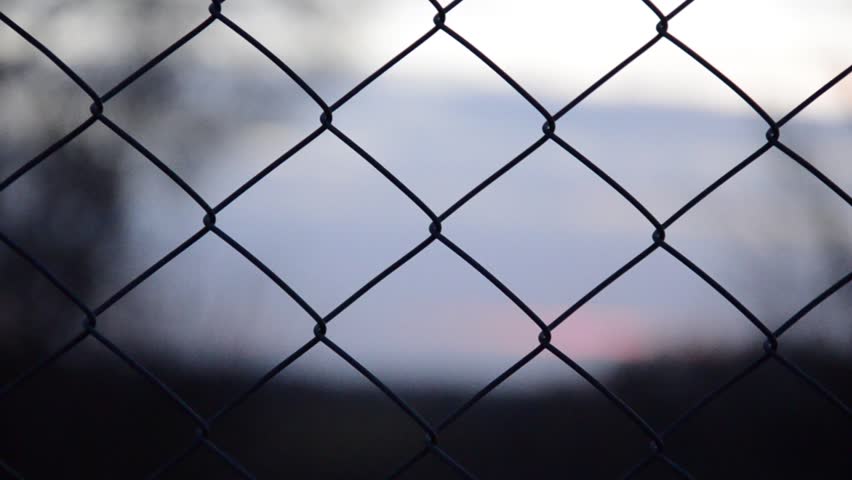 Metal fence (pound). The camera floats through the fence