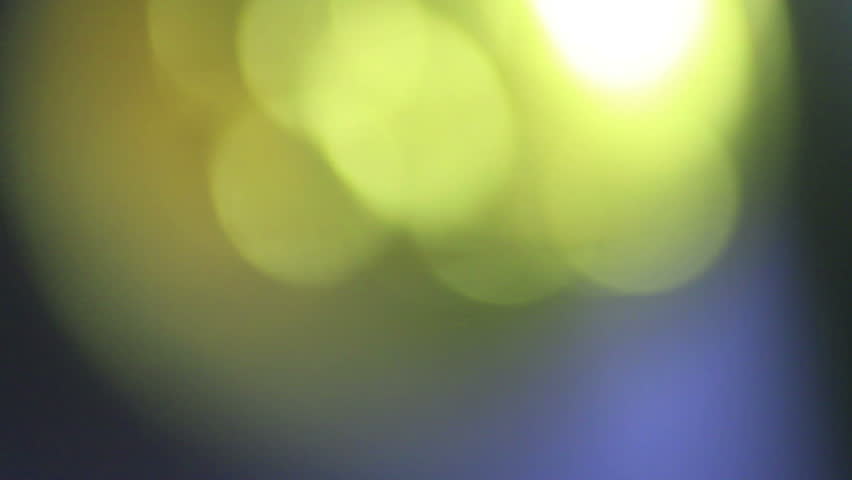 CSA confederate button up close