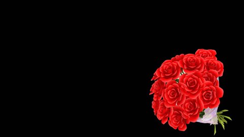 Rose Bouquet Stock Video