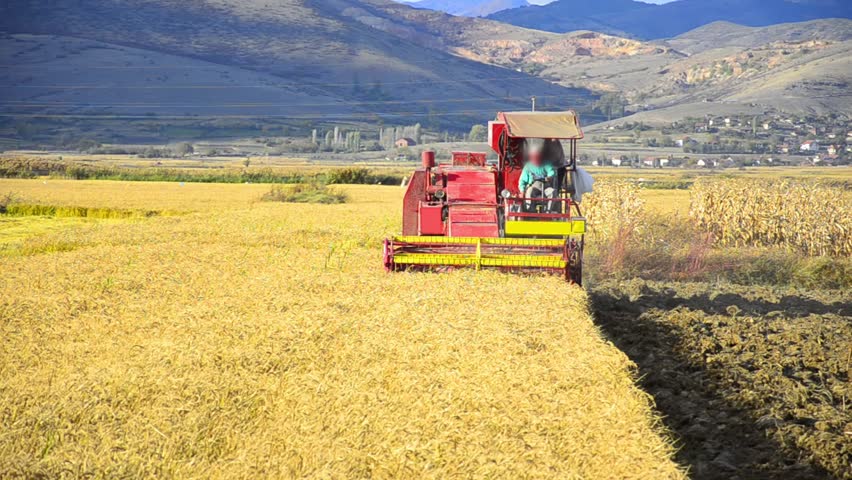 Wheat, rice harvesting shearers