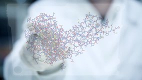 Researcher rotating growth hormone amino acid chemical molecule on transparent touch display - Powered by Shutterstock - Get 15% off with code: PIKWIZARD15