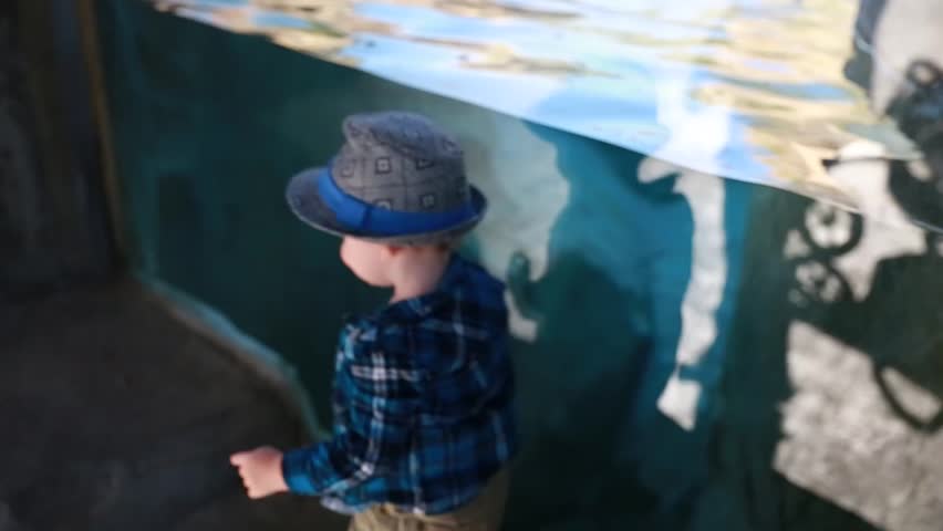 A baby looking into the zoo aquarium with his mother