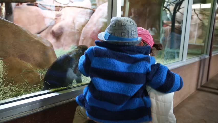 A mother and her toddler boy watching the monkeys at the zoo