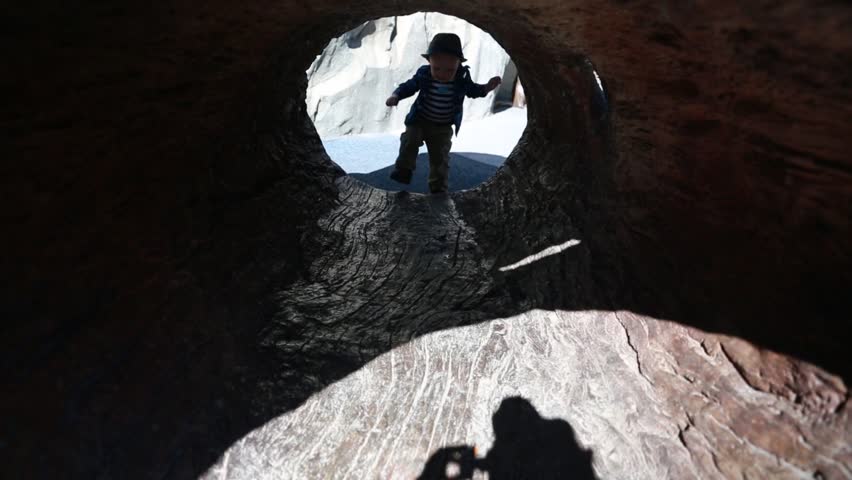 A toddler crawling through a tunnel at the zoo