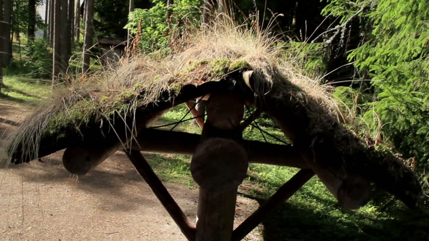 The eco roof in the shed looks quite old since small grass are beginning to grow and spreading in the whole ecoroof.