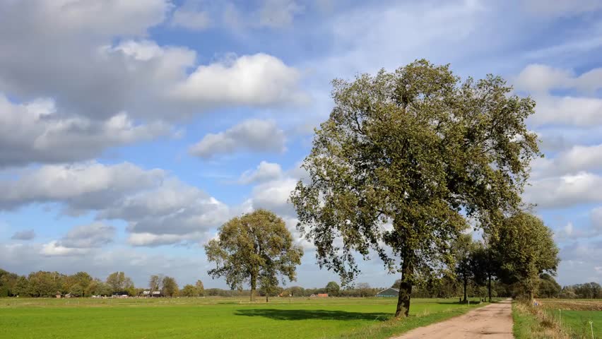 Time-laps of a typical autumn storm in the Netherlands, with force 8 on the beaufort scale.
You can see the tree moving wild by the heavy wind.