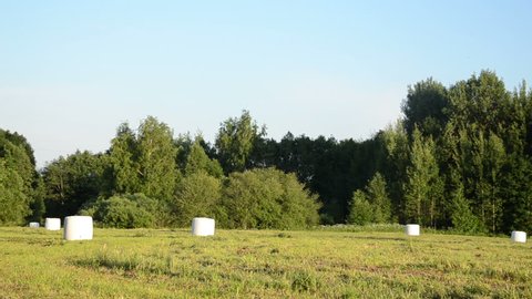 Panorama of polythene wrapped grass bales haystacks fodder for animal on harvested meadow near forest.