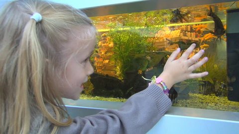 Child, Little Girl Watching, Looking Fishes in an Aquarium at Pet Shop in Mall