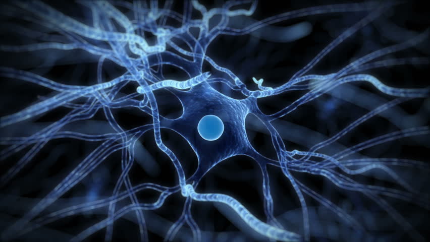 Animation of a Human Nerve Stock Footage Video (100% Royalty-free