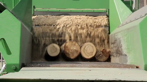 Green saw dust machine working on two logs and turning it completely into saw dust in a blink of an eye.